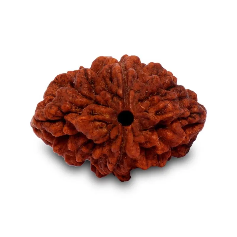 2mukhi