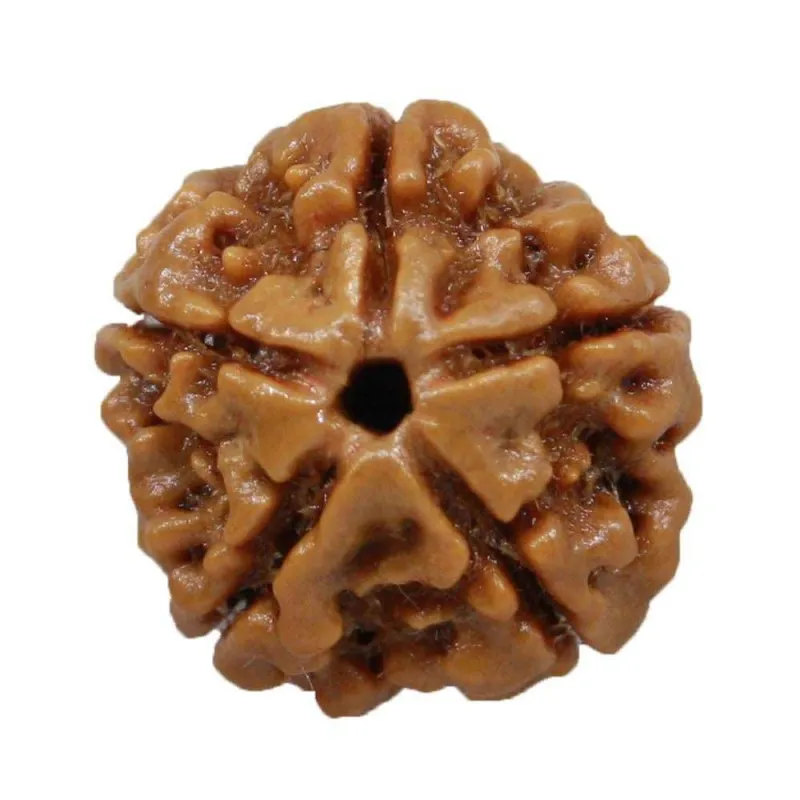 5mukhi