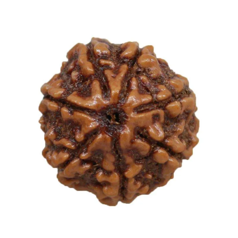 7mukhi