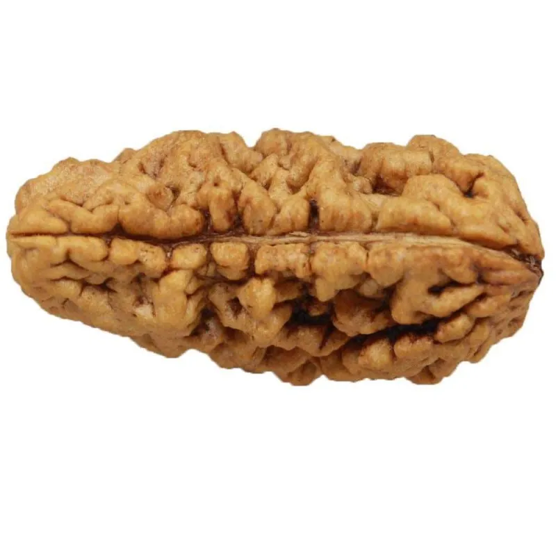 onemukhi