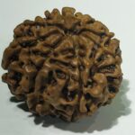8 MUKHI RUDHRAKSHA